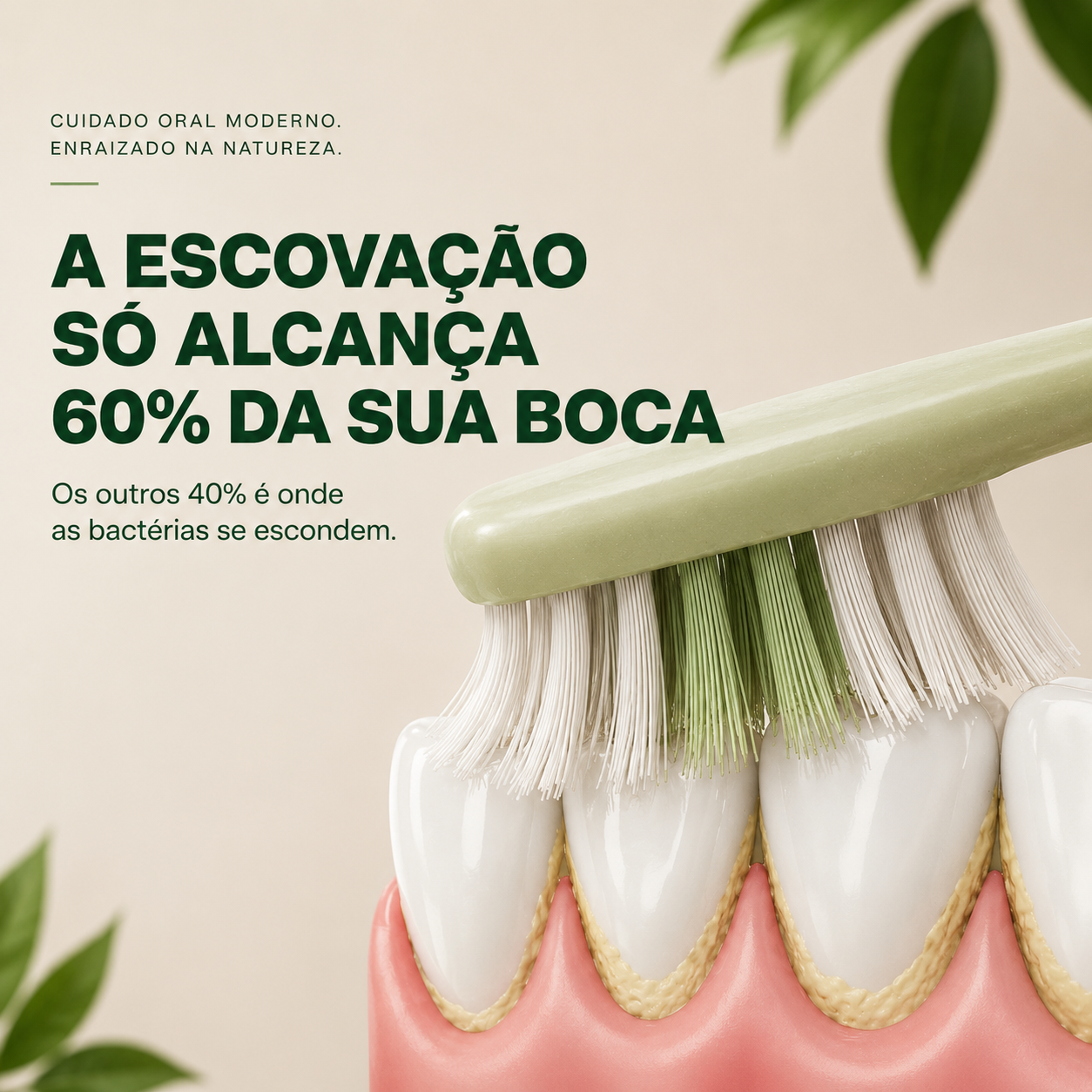 Kayvor® Dentes Saudáveis & Gengiva Saudável