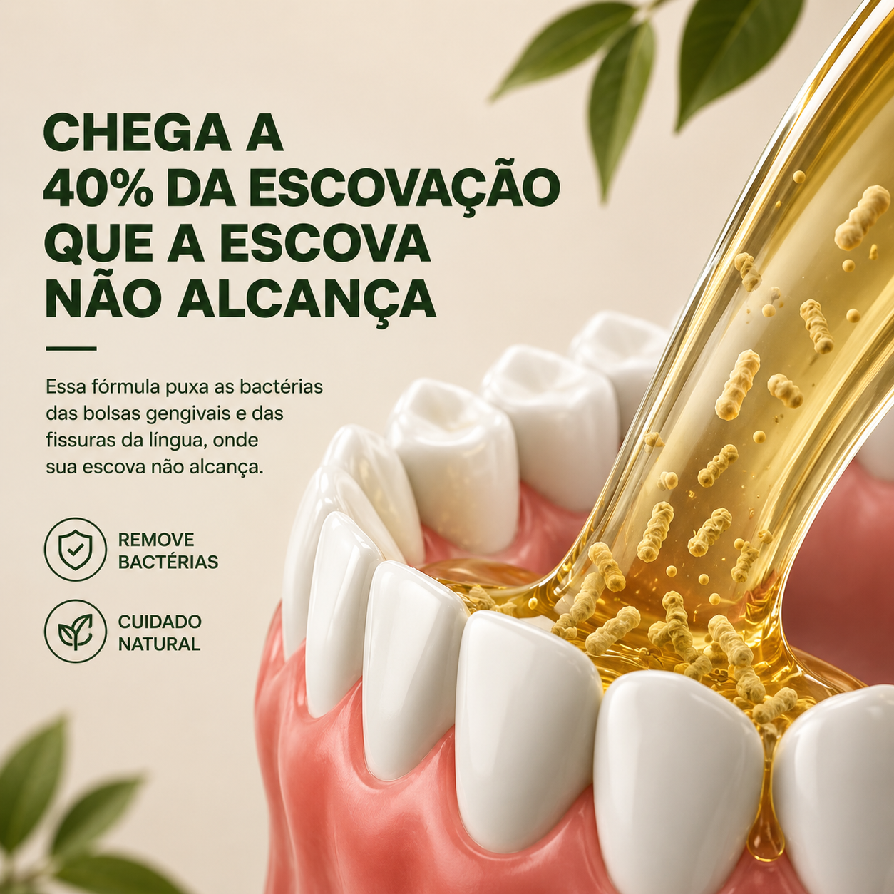Kayvor® Dentes Saudáveis & Gengiva Saudável