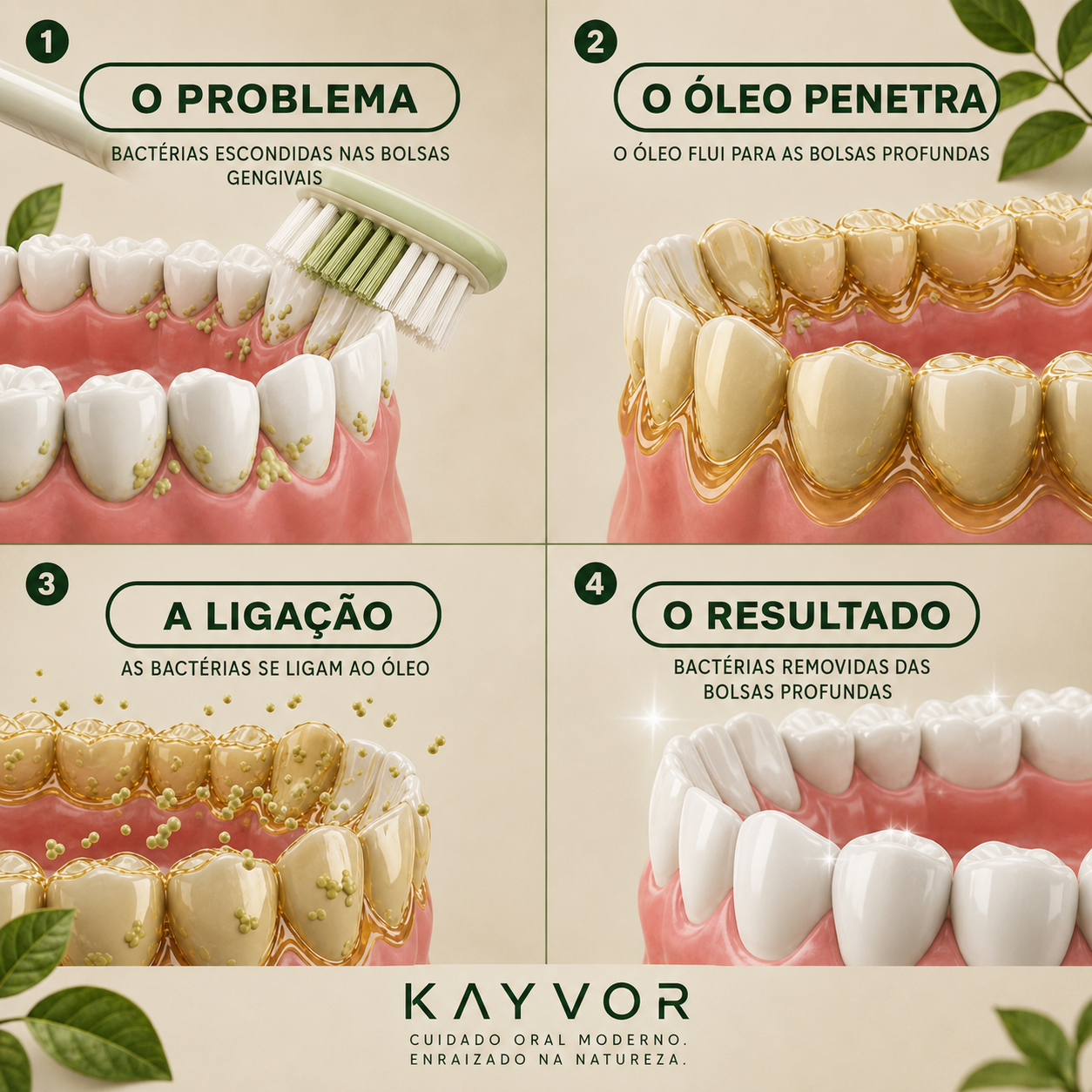 Kayvor® Dentes Saudáveis & Gengiva Saudável